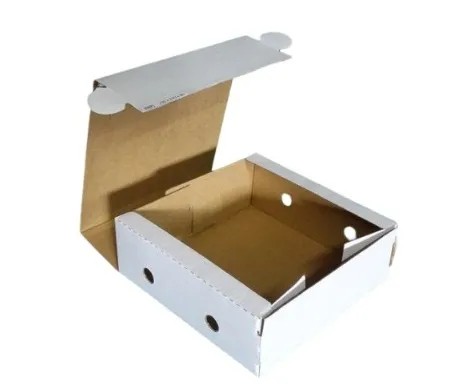 Caixa para Torta - Papelão Branco Onda Simples (Pct com 50 Unidades) 27 x 27 x 08
